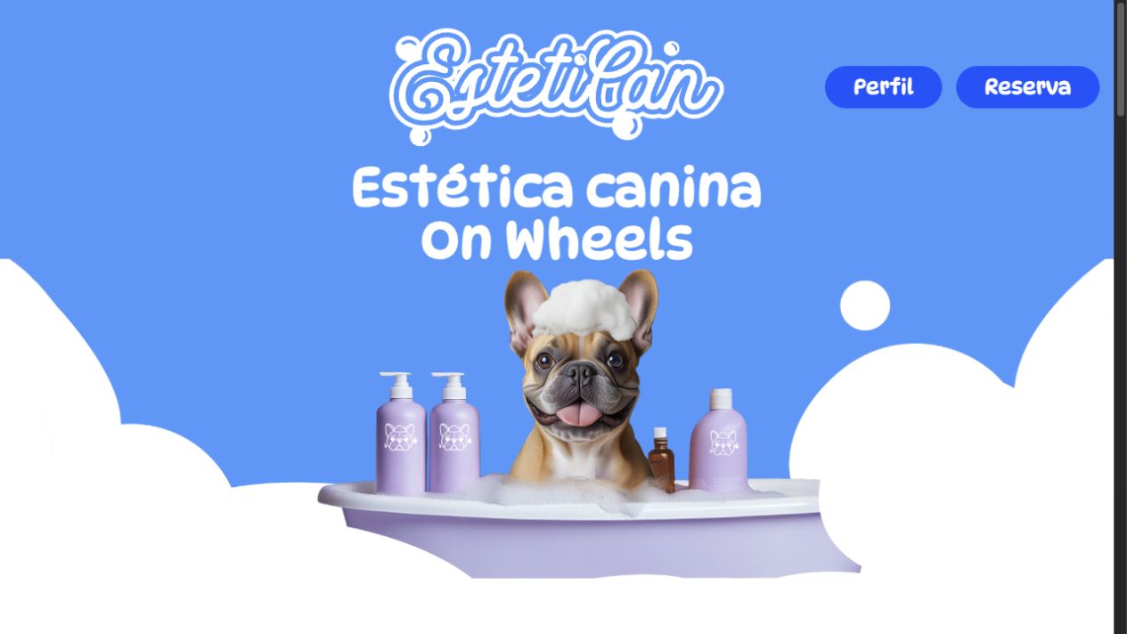 Estetican website interface